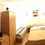 Rocco 招待所 艾福雷诺德