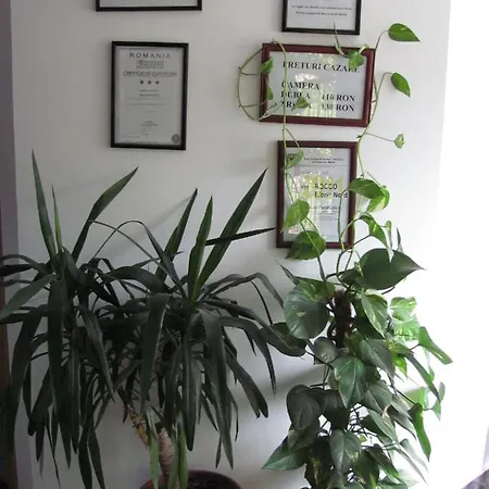 Pensión Rocco Eforie Nord