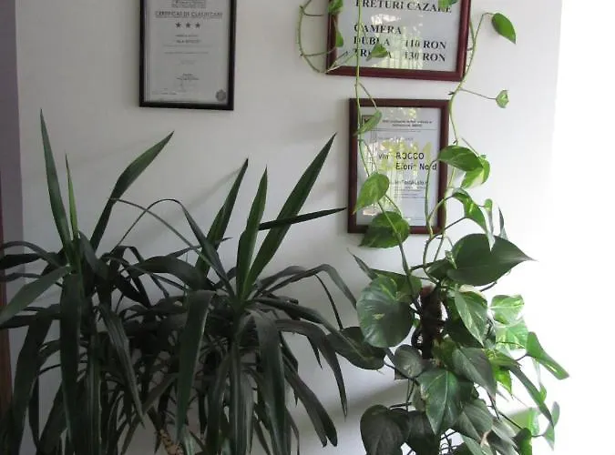 Guest house Rocco Eforie Nord