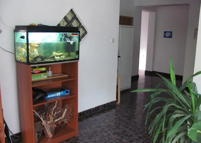 Rocco 데포리노드